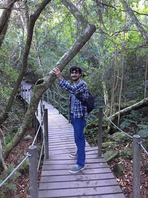Francesco su una passerella nella foresta